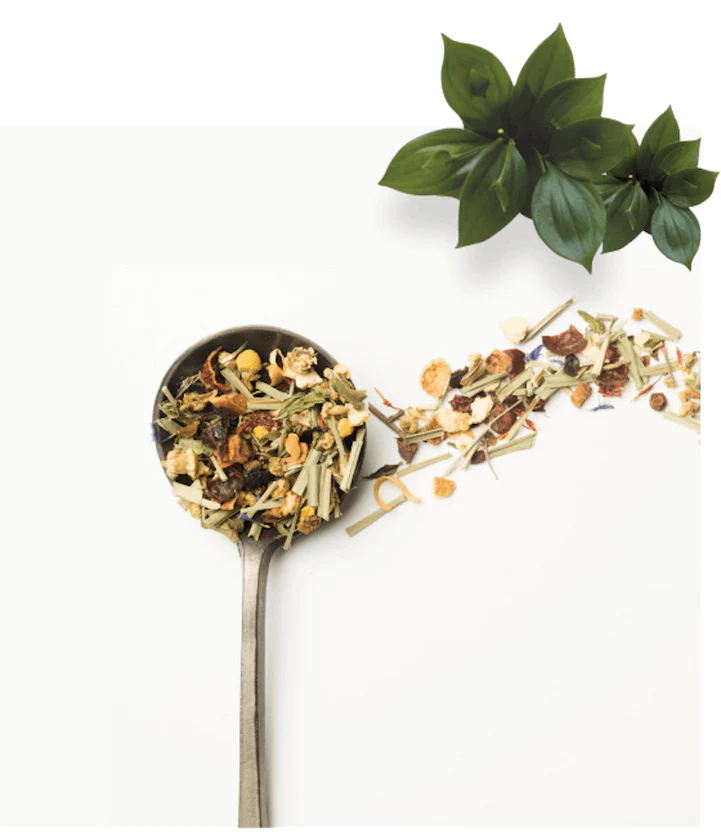 Pure Plants, Powerful Healing